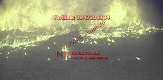 Digital Furnace Camera (ugnskamera) with Wide Dynamic Range