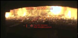 Bark waste wood moving stoker grate boiler cameras, www.basscam.net