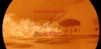 Endoscopy of an Operational Glass Furnace