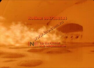 Endoscopy of an Operational Glass Furnace