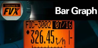 Field Mount Indicators: FVX110 Fieldbus Segment Indicator: Display Features