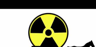 ULTIMO Density meter