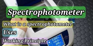 The Spectrophotometer: Working principle, Uses, How to use (Complete guidelines)