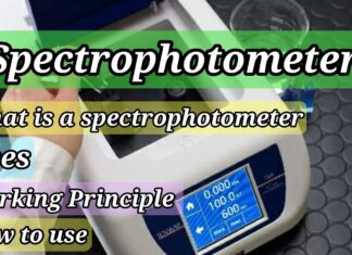 The Spectrophotometer: Working principle, Uses, How to use (Complete guidelines)