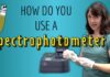 How do you use a Spectrophotometer? A practical guide!