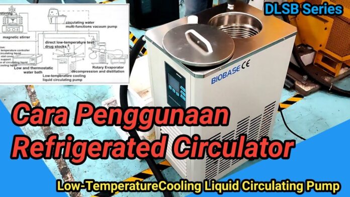 Refrigerated Circulator Biobase DLSB Series