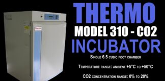 THERMO 310 CO2 INCUBATOR (3176D)