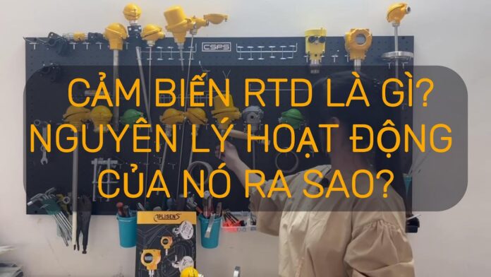 Nguyên lý hoạt động của Cảm biến Nhiệt điện trở RTD | Resistance Temperature Detector | Việt Nam Distributor | INO Measure