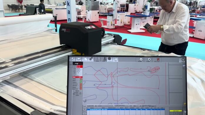 Bài viết trong khoảng 250 – 300 từ